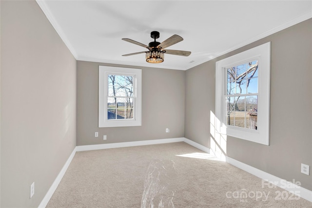 spare room featuring ceiling fan, light carpet, and crown molding