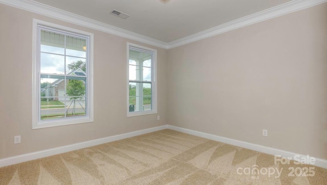 spare room with carpet floors and crown molding