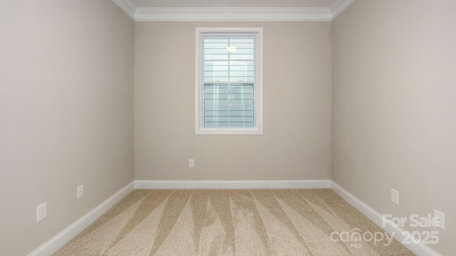 carpeted empty room with ornamental molding