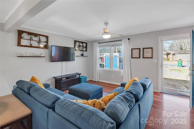 living room with ceiling fan and wood-type flooring