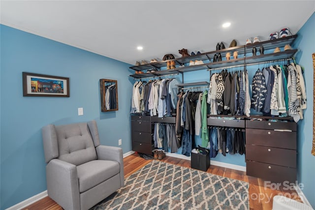 walk in closet with wood-type flooring