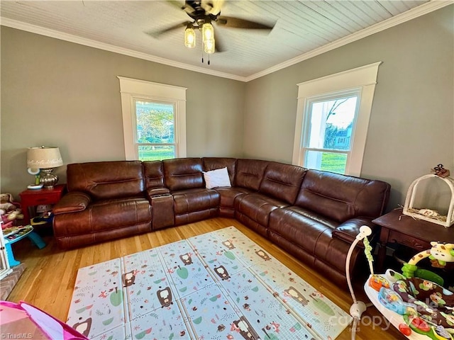 living room featuring crown molding, hardwood / wood-style flooring, and ceiling fan