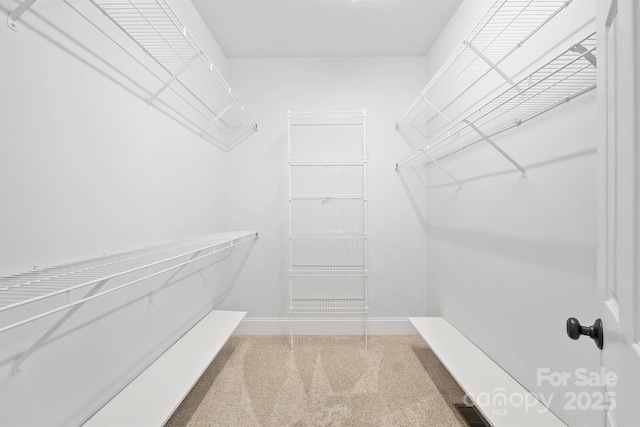 walk in closet with carpet