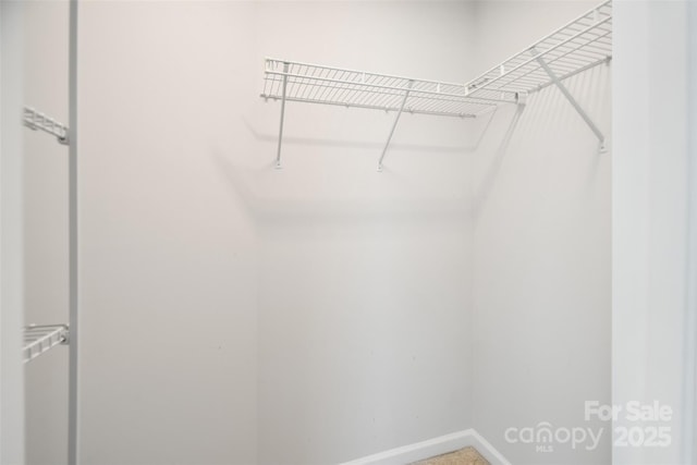 view of spacious closet