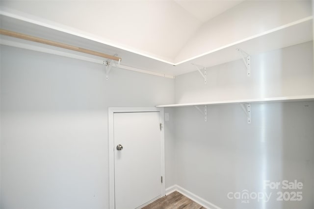 walk in closet featuring wood-type flooring