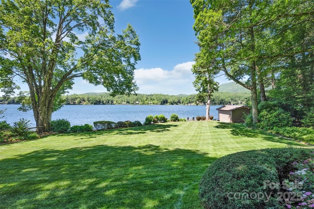 view of yard with a water view and a shed