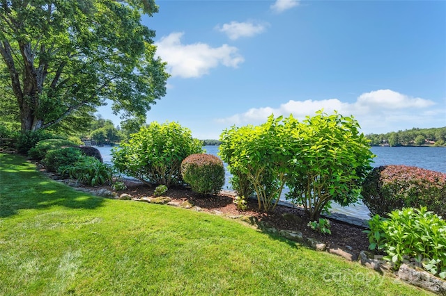 view of yard with a water view