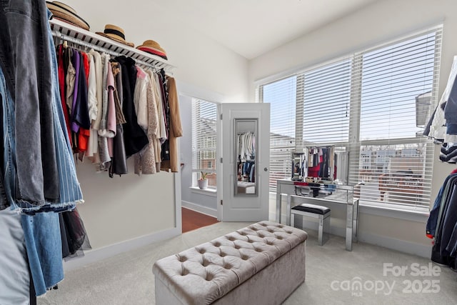 walk in closet with light colored carpet