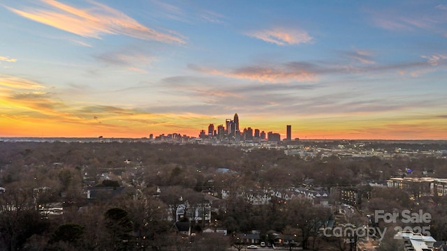 view of nature at dusk