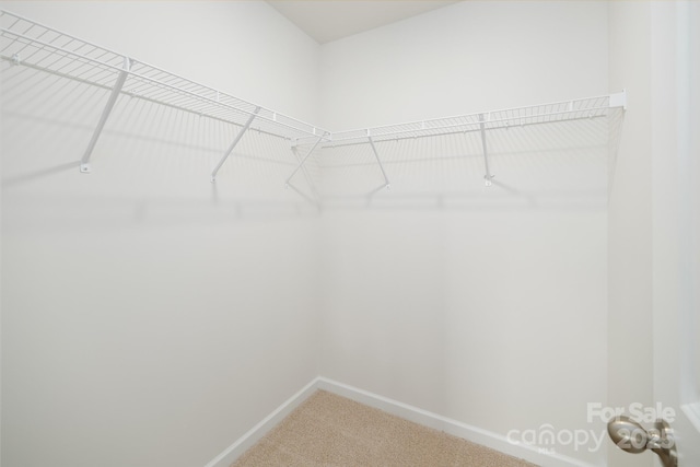 spacious closet with carpet floors