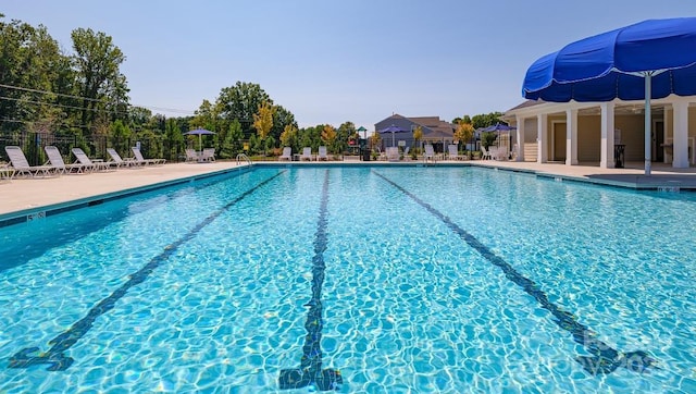 view of pool featuring a patio area