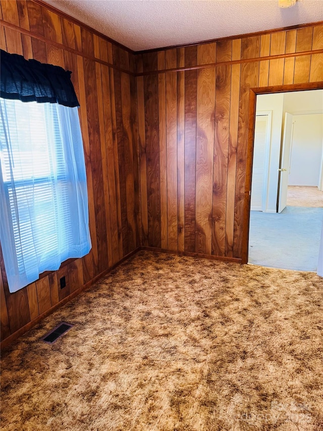 empty room featuring carpet floors and wood walls