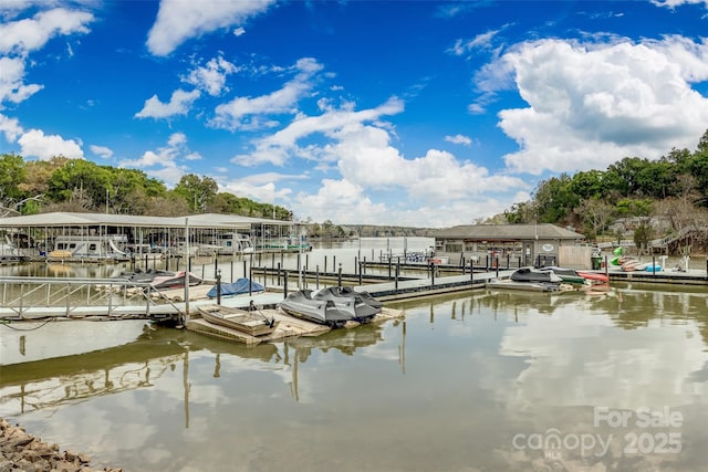 dock area featuring a water view