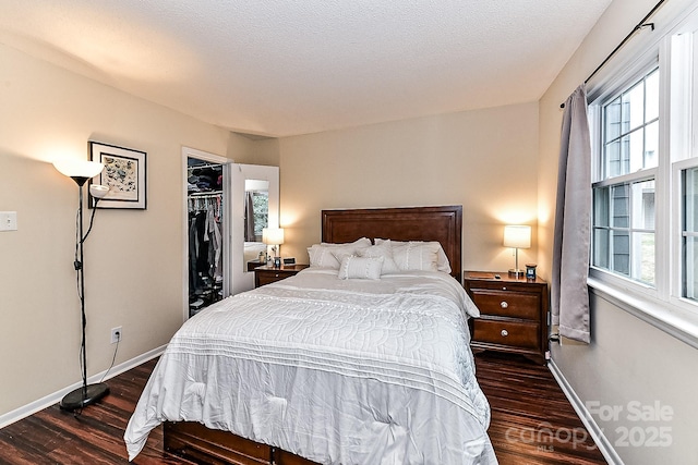 bedroom with a closet, a walk in closet, dark hardwood / wood-style flooring, and multiple windows