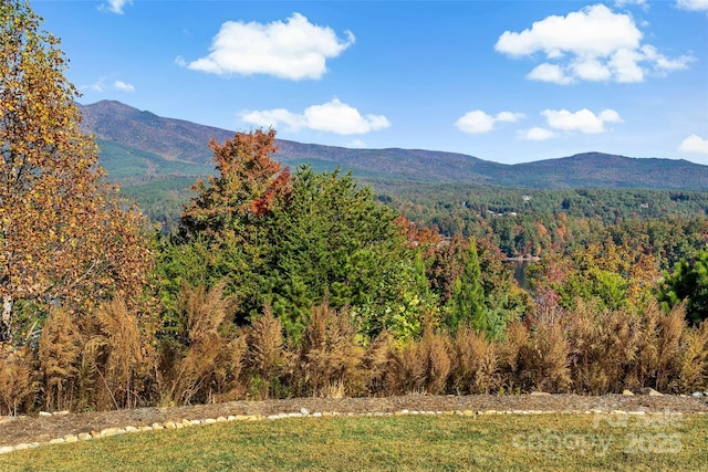 property view of mountains