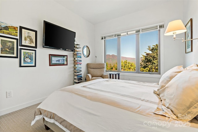 bedroom with carpet