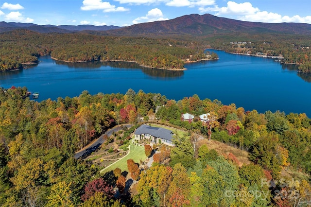 birds eye view of property featuring a water and mountain view