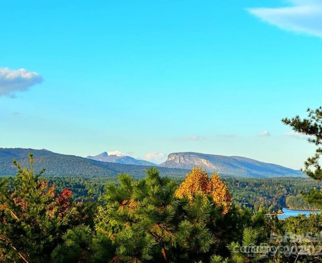 view of mountain feature