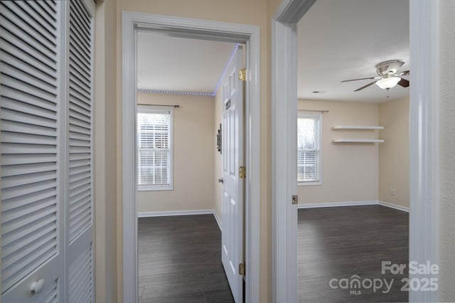 corridor featuring dark hardwood / wood-style flooring