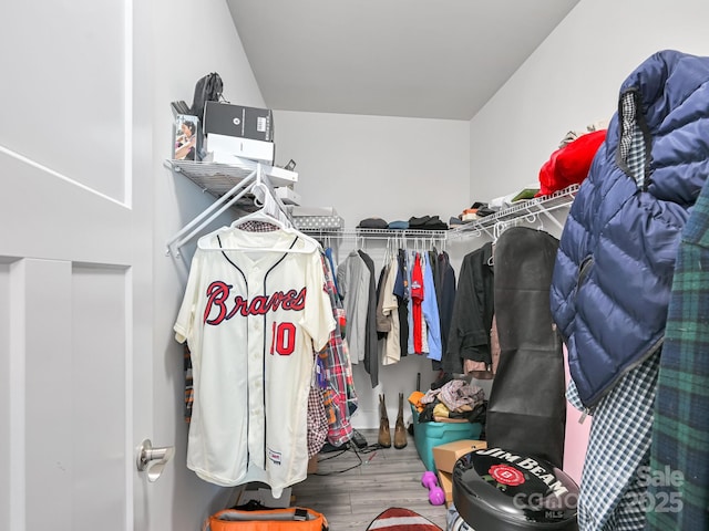 walk in closet featuring hardwood / wood-style flooring