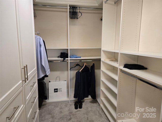 spacious closet featuring light carpet