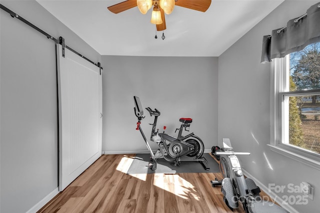 exercise area with ceiling fan, a barn door, and light hardwood / wood-style flooring