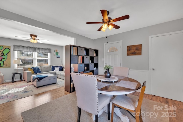 dining room with ceiling fan and light hardwood / wood-style flooring