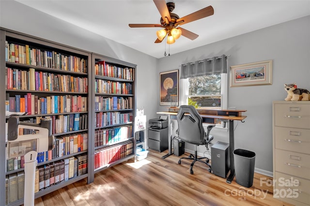 office featuring ceiling fan and hardwood / wood-style flooring