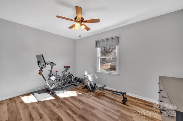 workout room with ceiling fan and light hardwood / wood-style floors