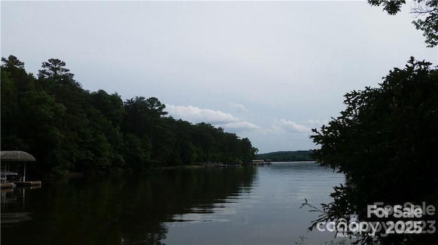 0 Whisper Lake Dr Unit 118, Badin Lake, NC 28127 - photo 4