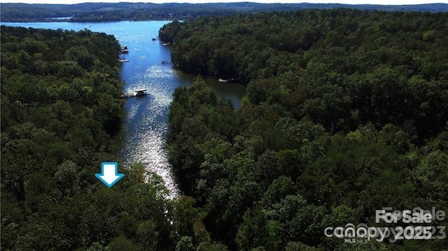 0 Whisper Lake Dr Unit 118, Badin Lake, NC 28127 - photo 5