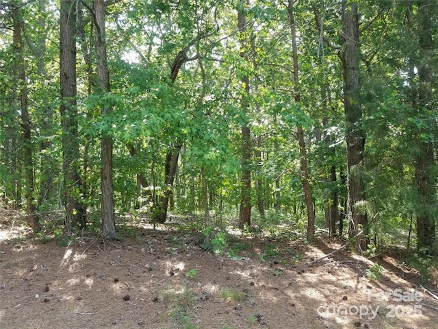 0 Whisper Lake Dr Unit 118, Badin Lake, NC 28127 - photo 20