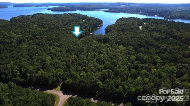 0 Whisper Lake Dr Unit 118, Badin Lake, NC 28127 - photo 29
