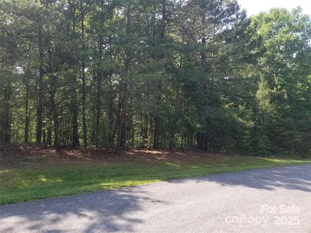 0 Whisper Lake Dr Unit 118, Badin Lake, NC 28127 - photo 30