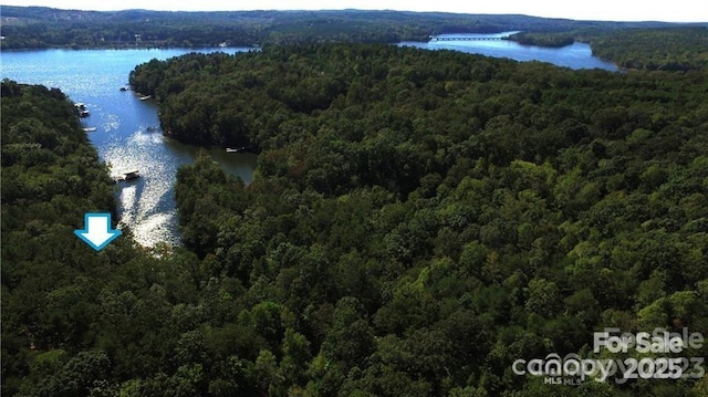 0 Whisper Lake Dr Unit 118, Badin Lake, NC 28127 - photo 31
