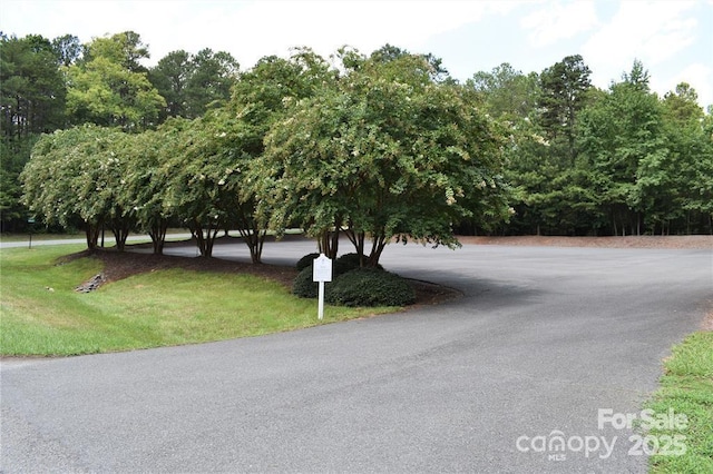 0 Whisper Lake Dr Unit 118, Badin Lake, NC 28127 - photo 36