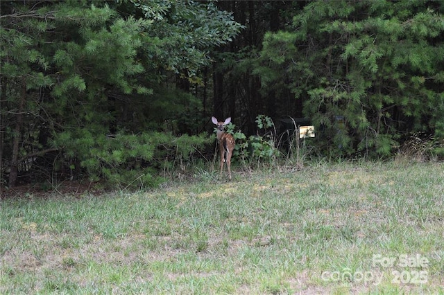 0 Whisper Lake Dr Unit 118, Badin Lake, NC 28127 - photo 41