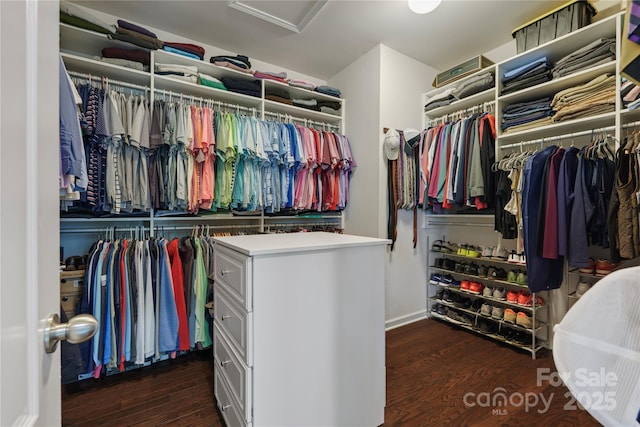 spacious closet featuring dark hardwood / wood-style flooring