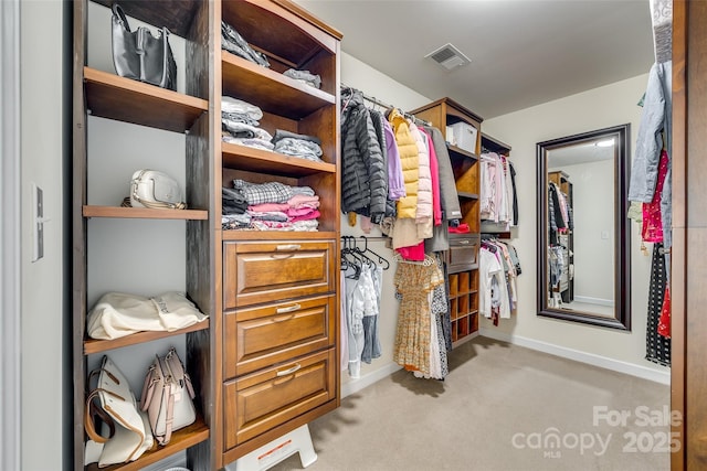 walk in closet with light carpet