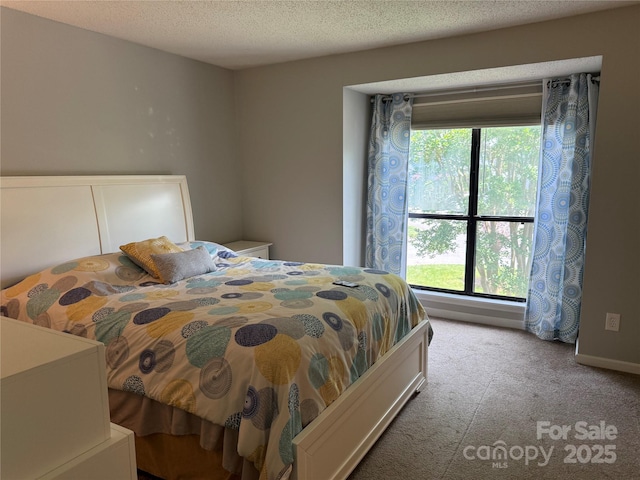 11121 S Harrowfield Rd, Charlotte, NC 28226 - photo 11