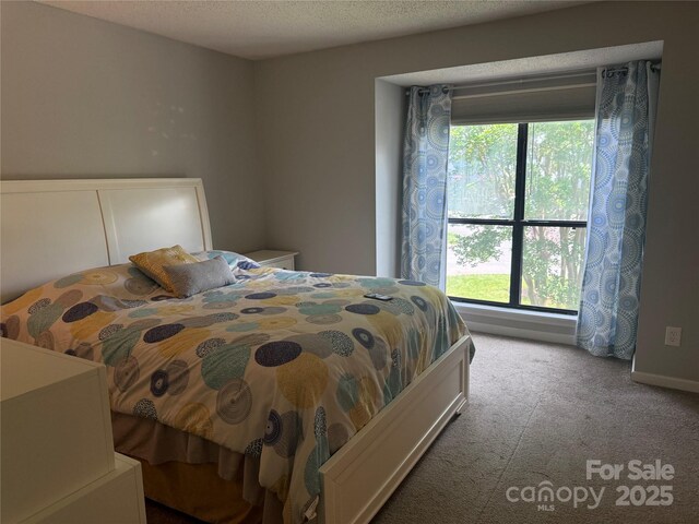 11121 S Harrowfield Rd, Charlotte, NC 28226 - photo 13