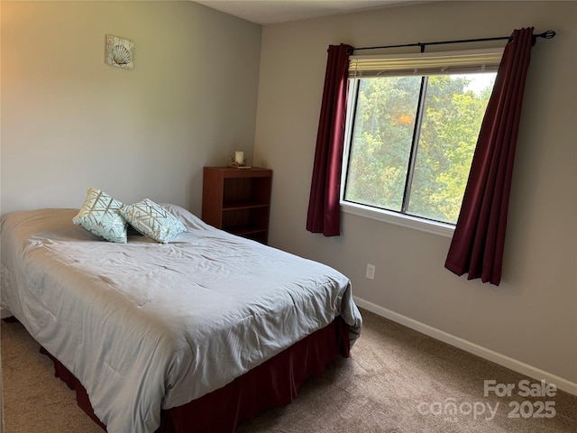 11121 S Harrowfield Rd, Charlotte, NC 28226 - photo 16
