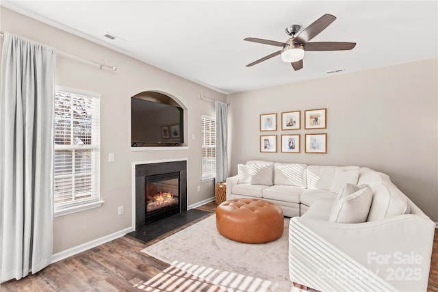 living room with ceiling fan and hardwood / wood-style flooring