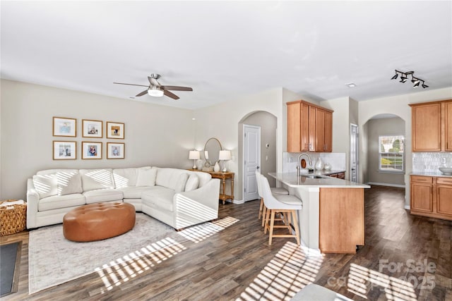 living room with ceiling fan, dark wood-type flooring, and sink