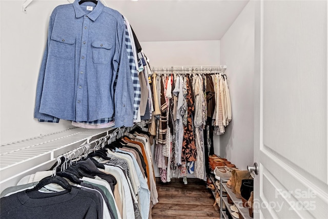 walk in closet featuring dark hardwood / wood-style floors