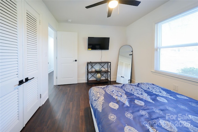 bedroom featuring ceiling fan and dark wood-type flooring