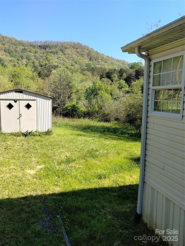 view of yard featuring a shed