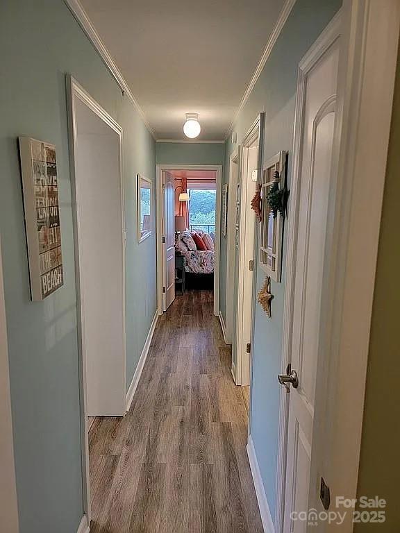 corridor with light wood-type flooring and crown molding