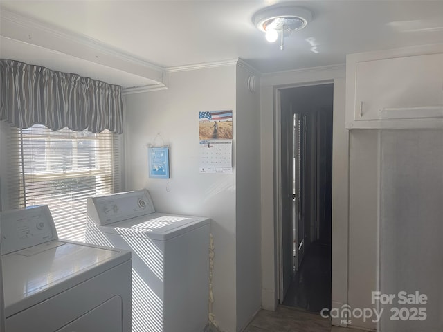 laundry room with crown molding and washer and dryer