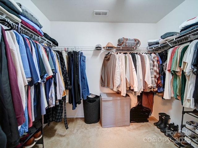 spacious closet with carpet flooring